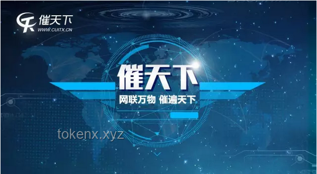 谍报收集技巧：实现信息获取上不封顶的实战指南